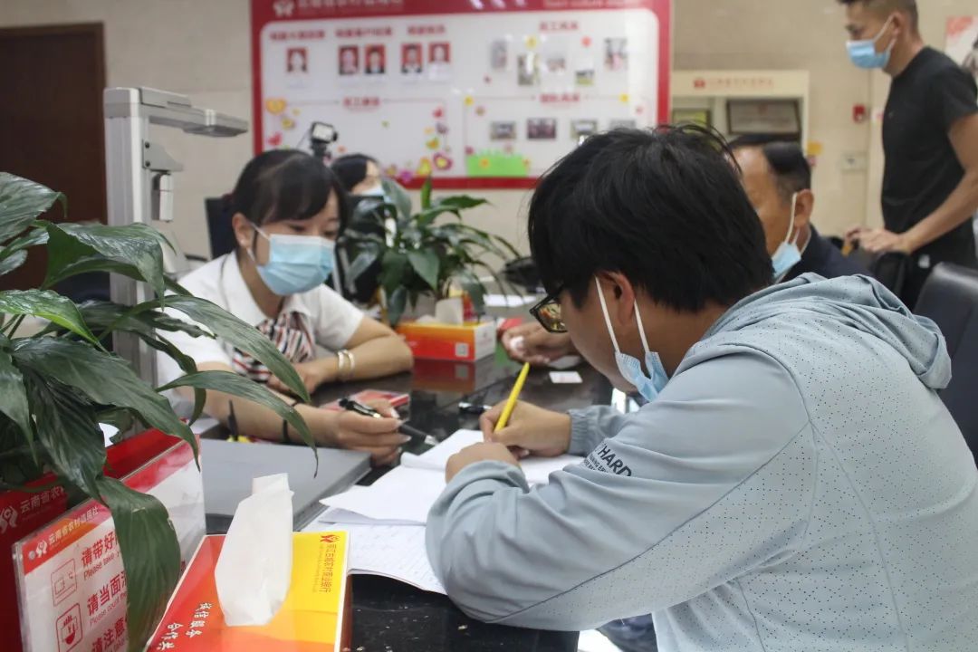 丽江日报(微信)