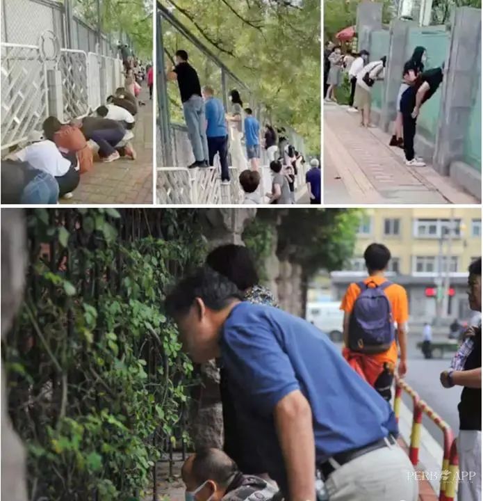 普洱日报(微信)