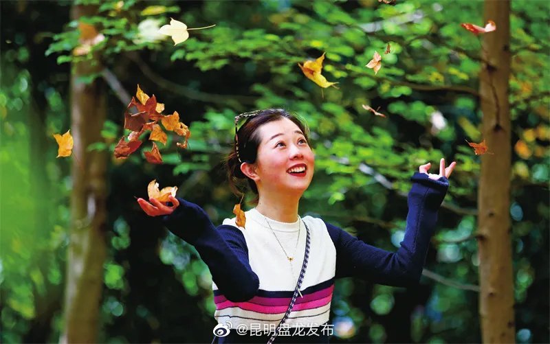 “昆明盘龙发布”微博