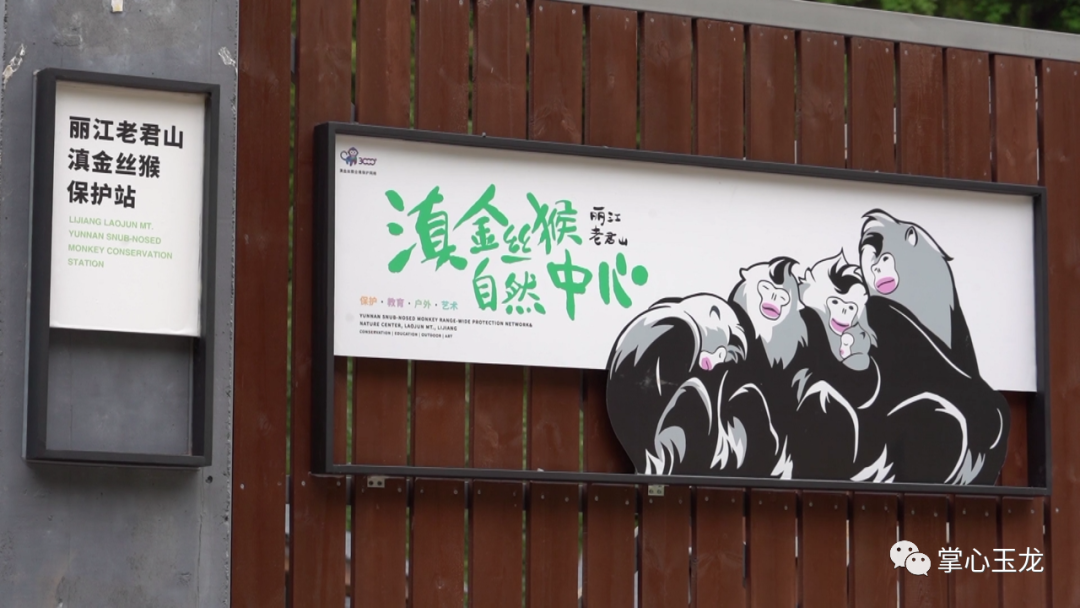 丽江日报(微信)