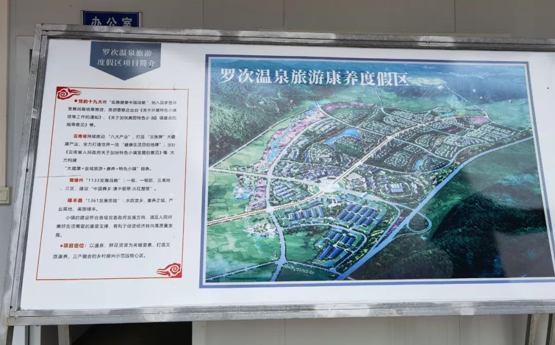 云南楚雄网(微信)