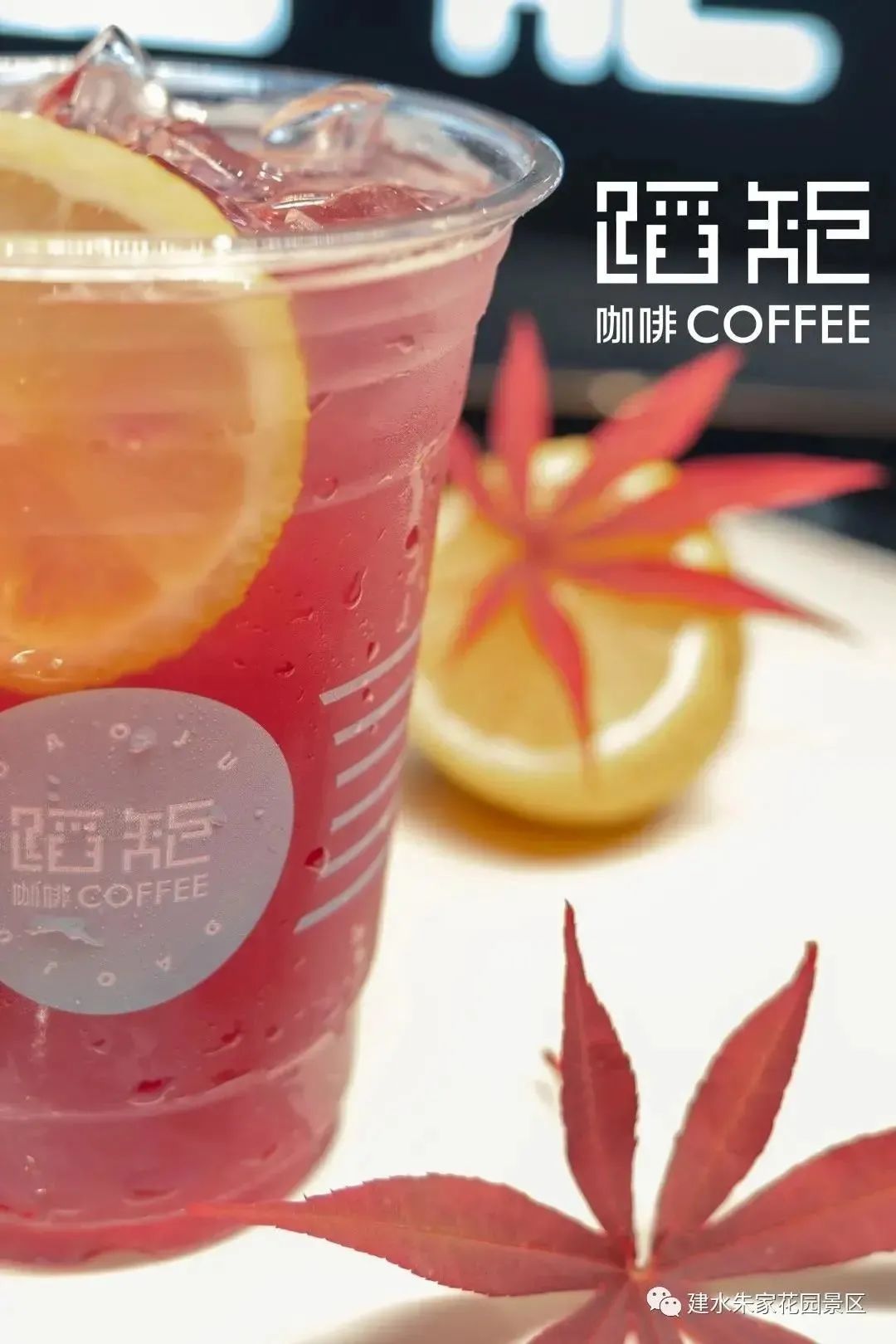 红河文旅(微信)