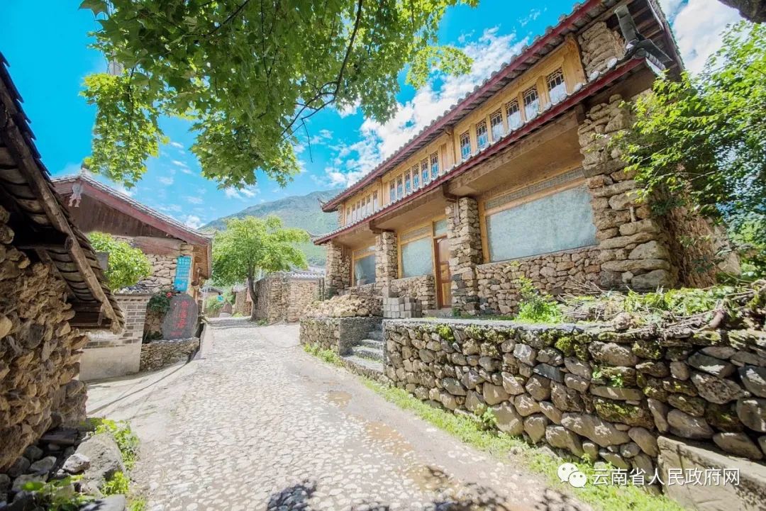 云南省人民政府网