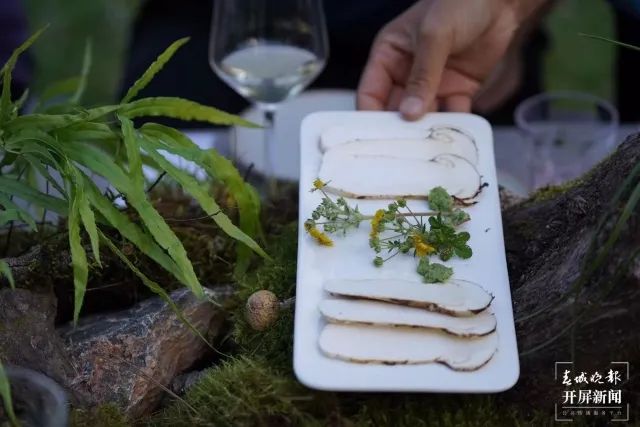 春城晚报(微信)