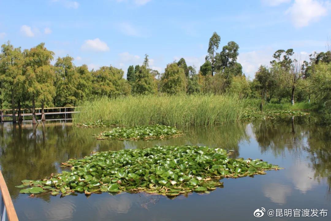 云南省未来24小时天气预报