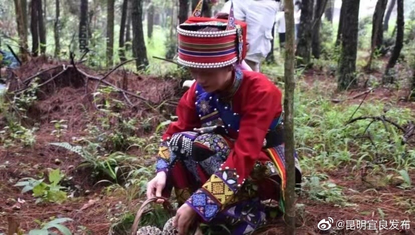 “昆明宜良发布”微博