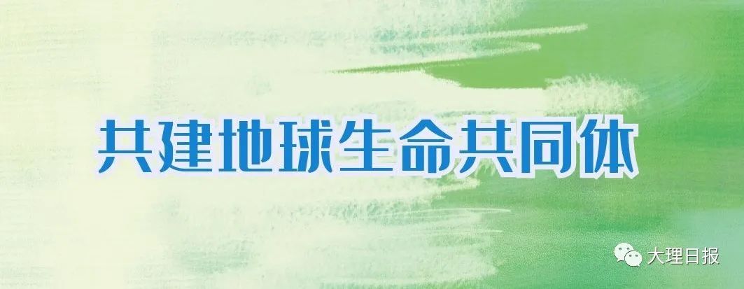 大理日报(微信)