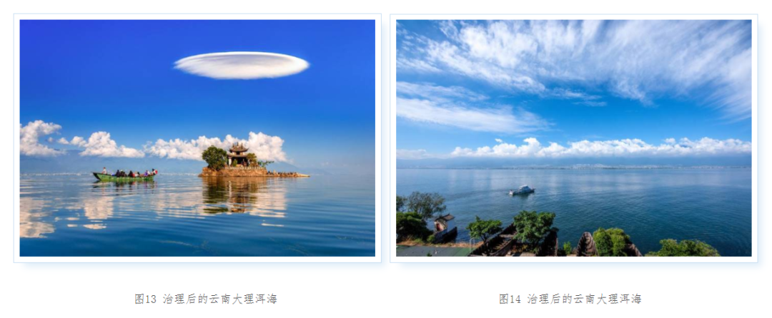 大理日报(微信)