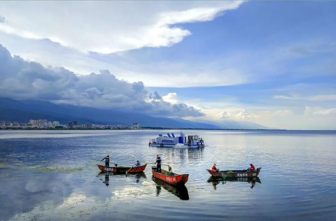 大理日报(微信)