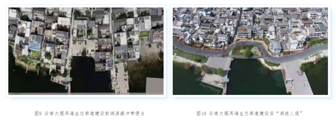 大理日报(微信)