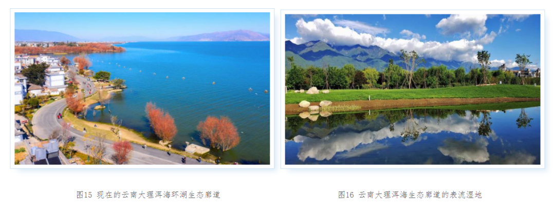 大理日报(微信)