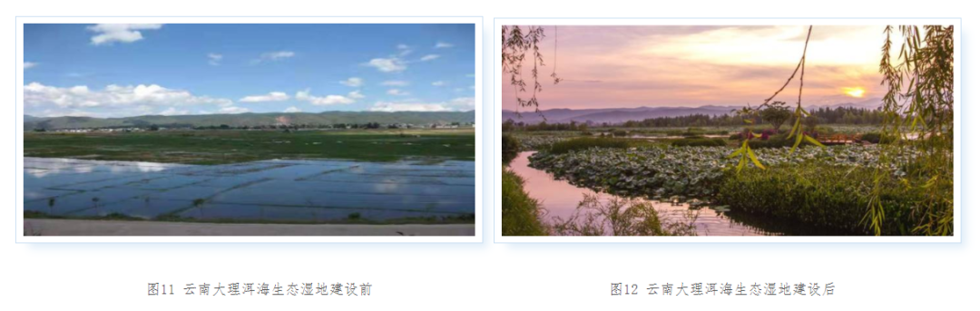 大理日报(微信)