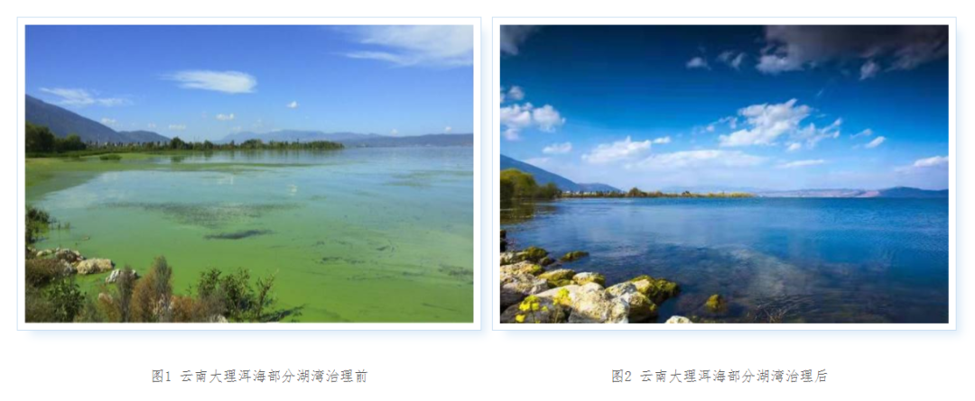 大理日报(微信)