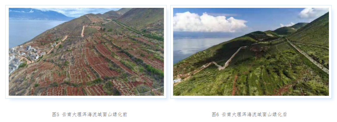 大理日报(微信)