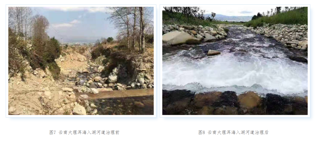 大理日报(微信)