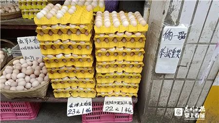 掌上春城(微信)