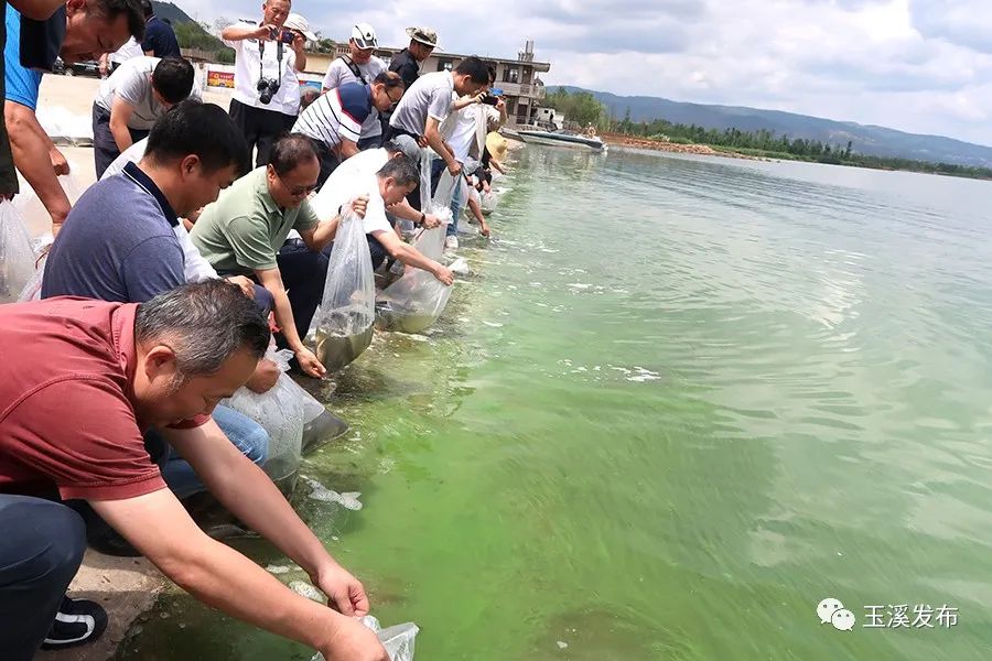 玉溪发布(微信)