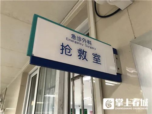 掌上春城(微信)