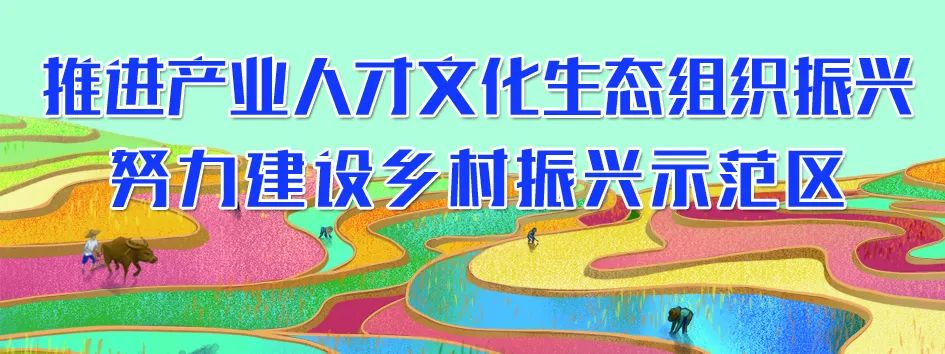 丽江日报(微信)