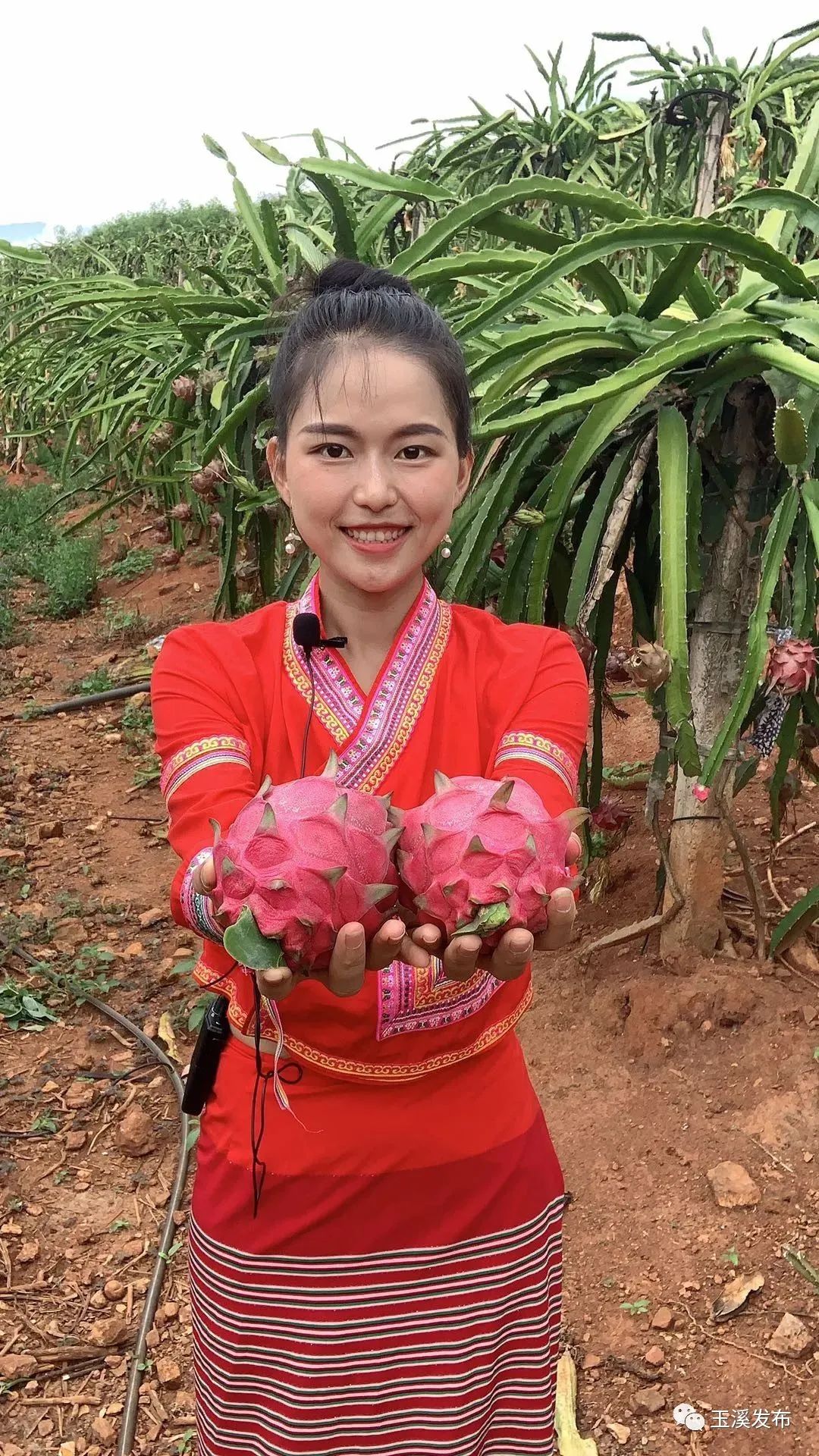 玉溪发布(微信)