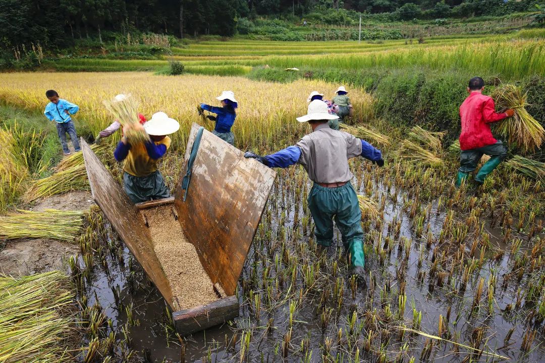 红河文旅(微信)