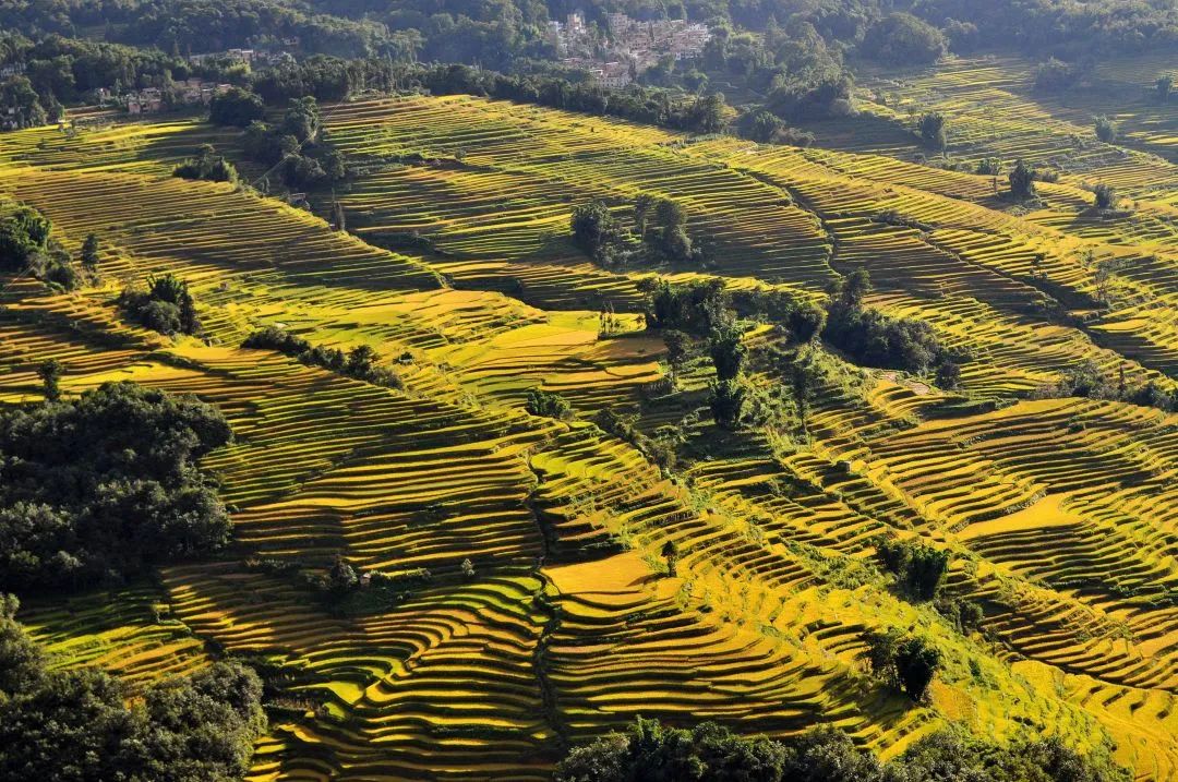 红河文旅(微信)