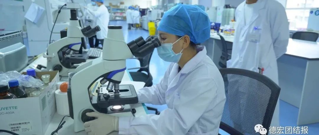 德宏团结报(微信)