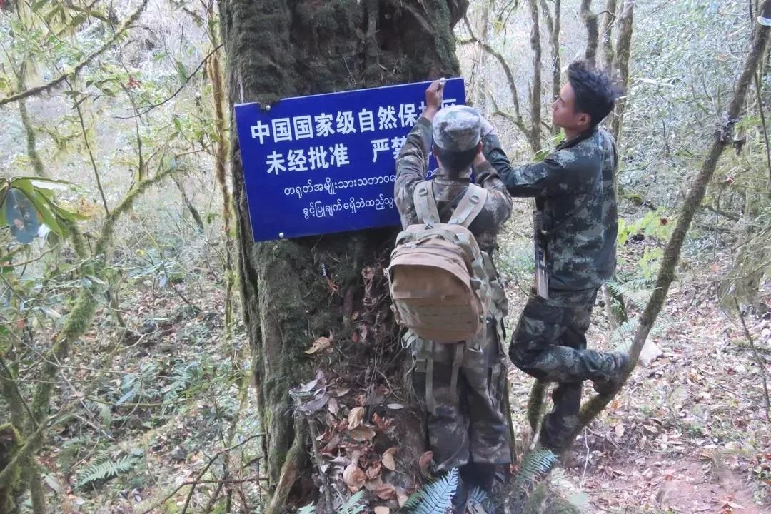 保山新闻网(微信)