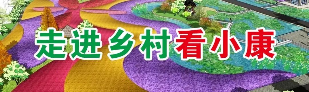 丽江日报(微信)