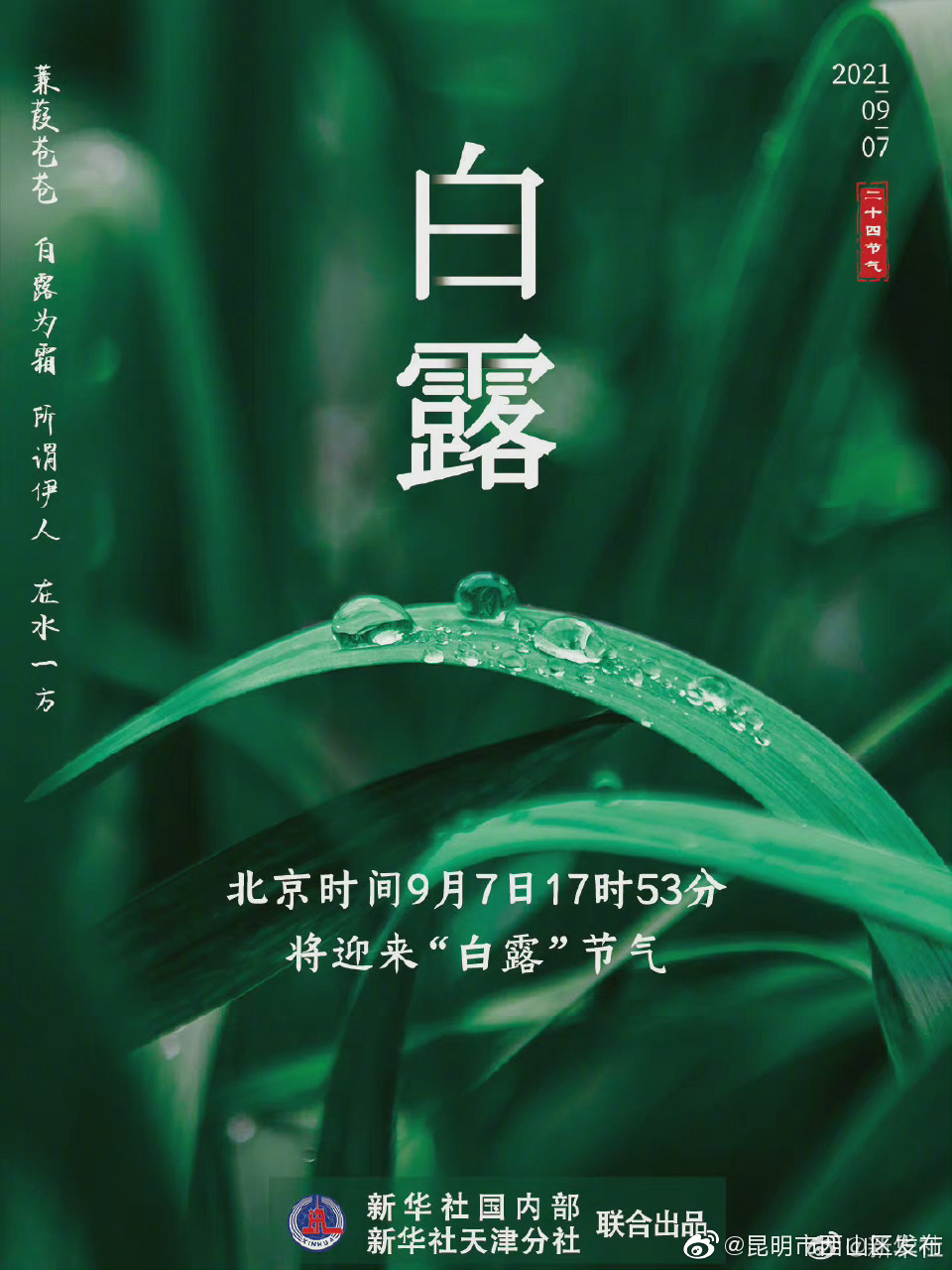 9月7日将迎来白露节气