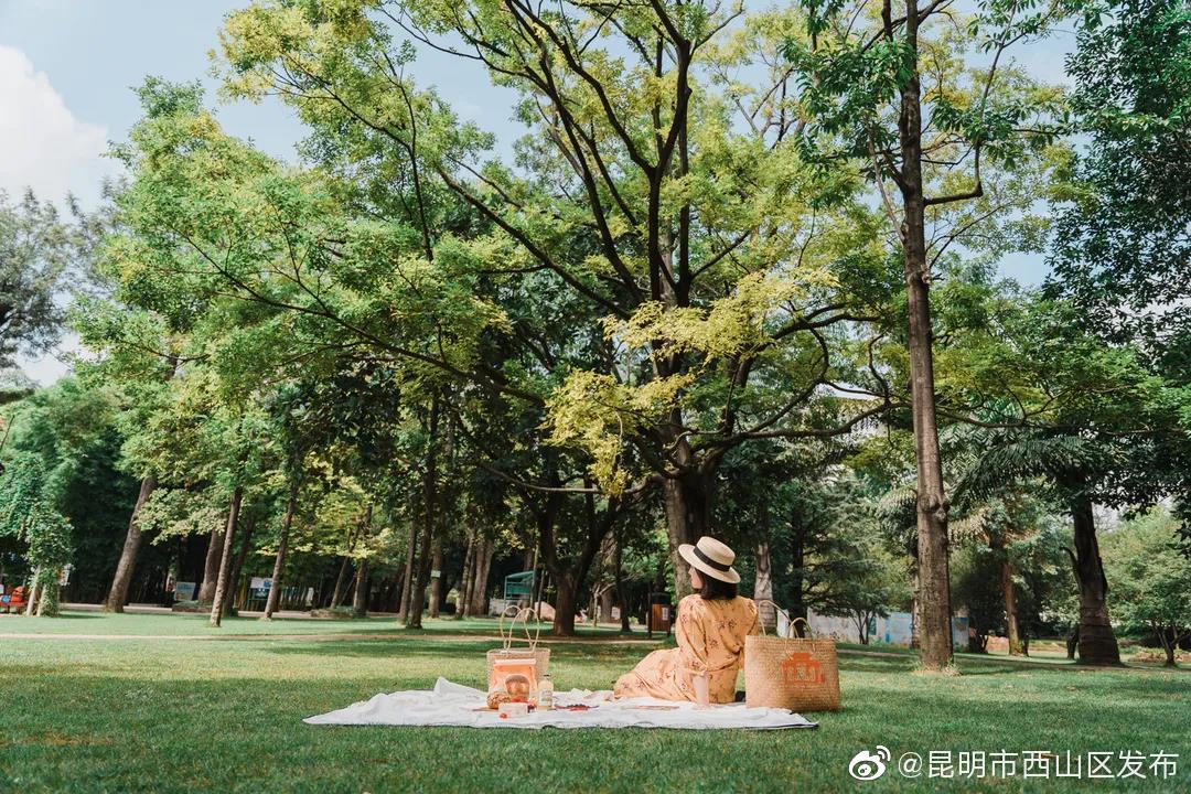 “昆明市西山区发布”微博