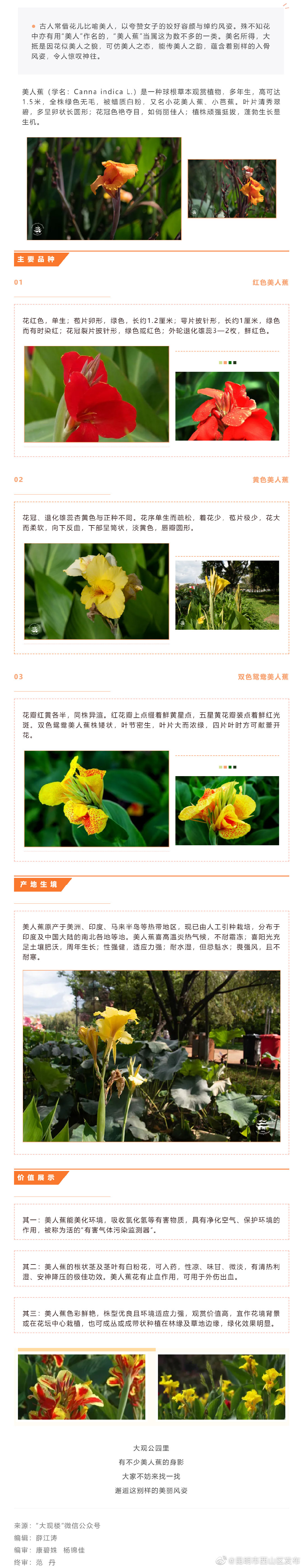 有些秋色，藏在大观楼的“美人”之间