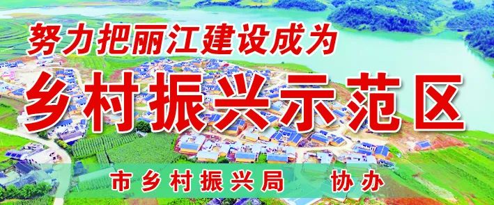 丽江日报(微信)