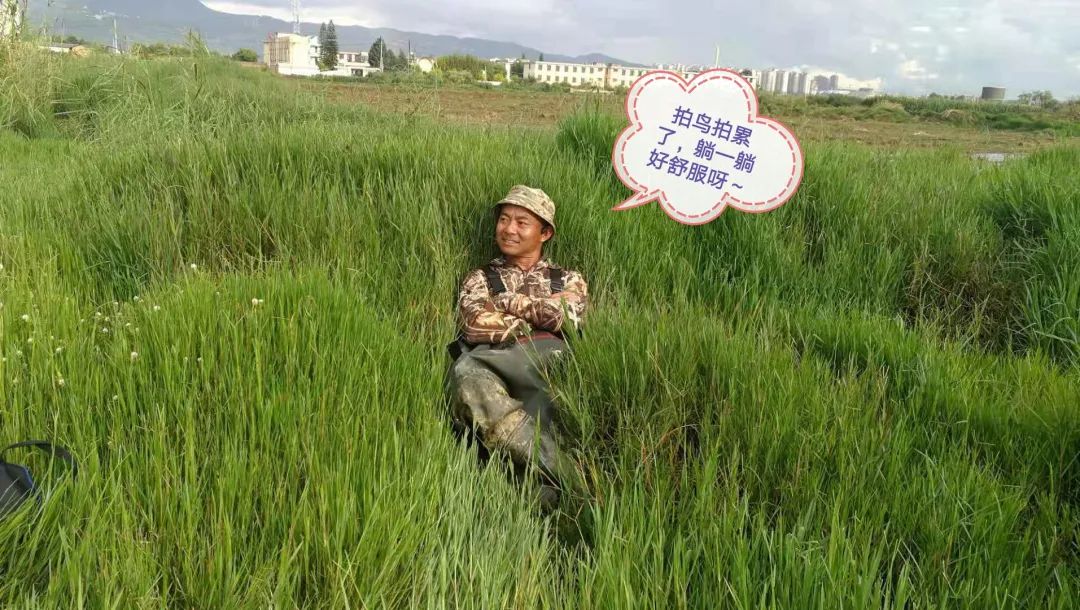 保山新闻网(微信)