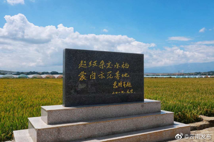 “云南发布”微博
