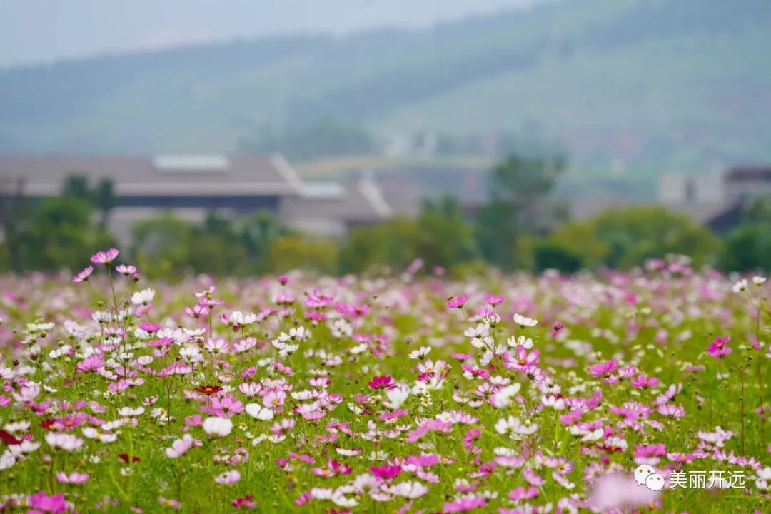 红河文旅(微信)