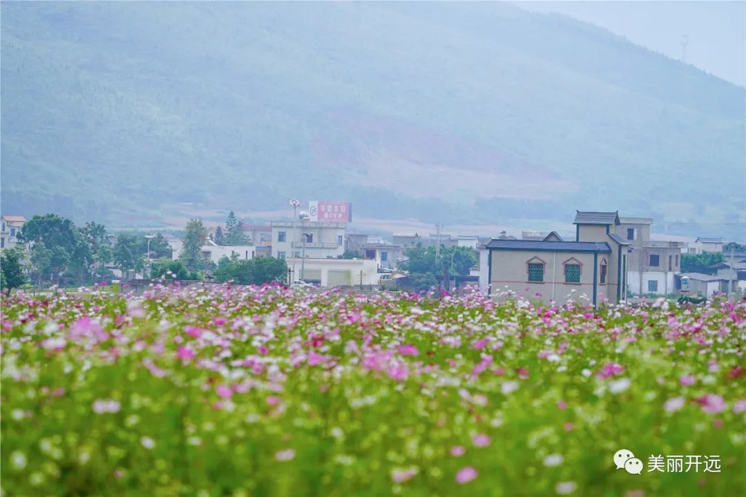 红河文旅(微信)