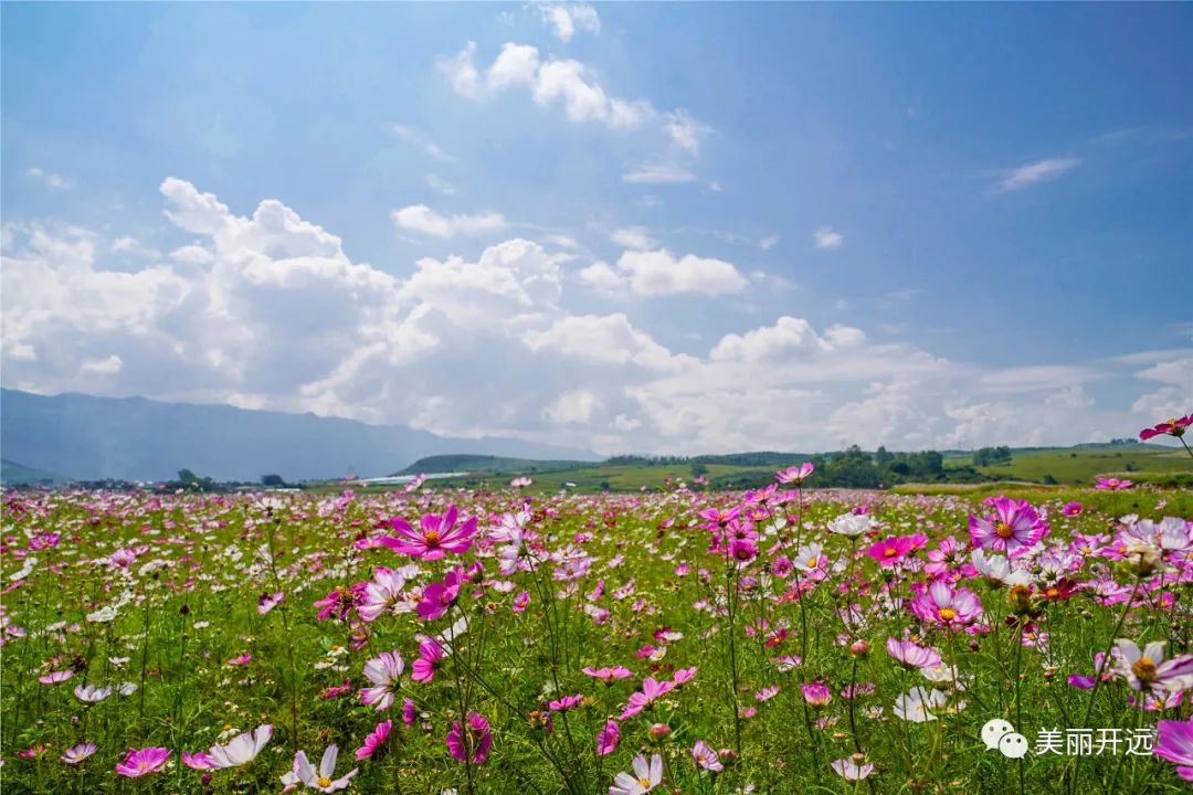 红河文旅(微信)