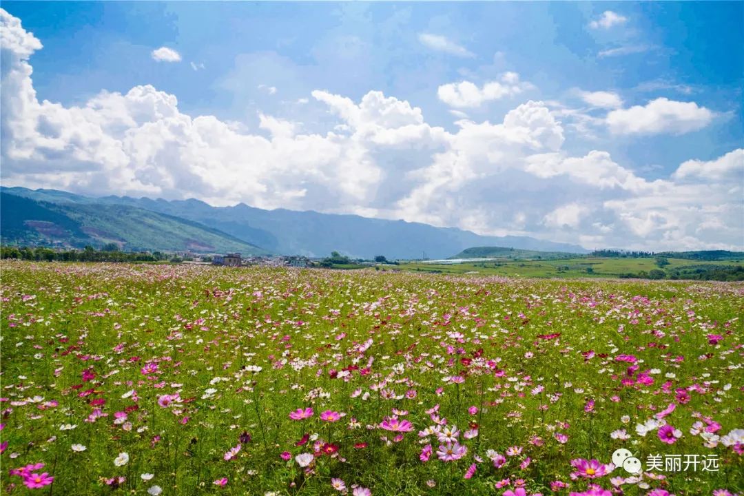 红河文旅(微信)