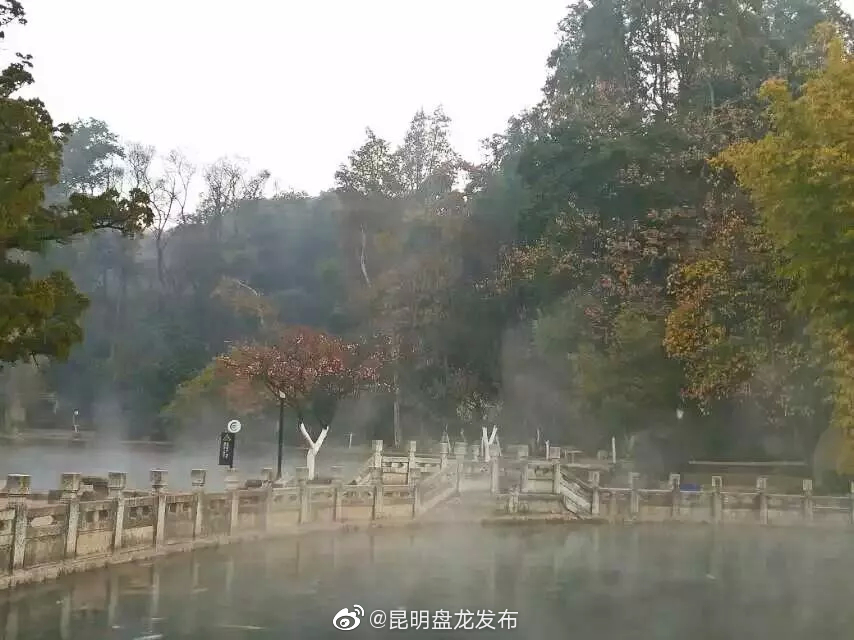 “昆明盘龙发布”微博