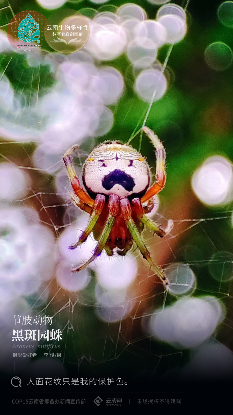 云南省人民政府网