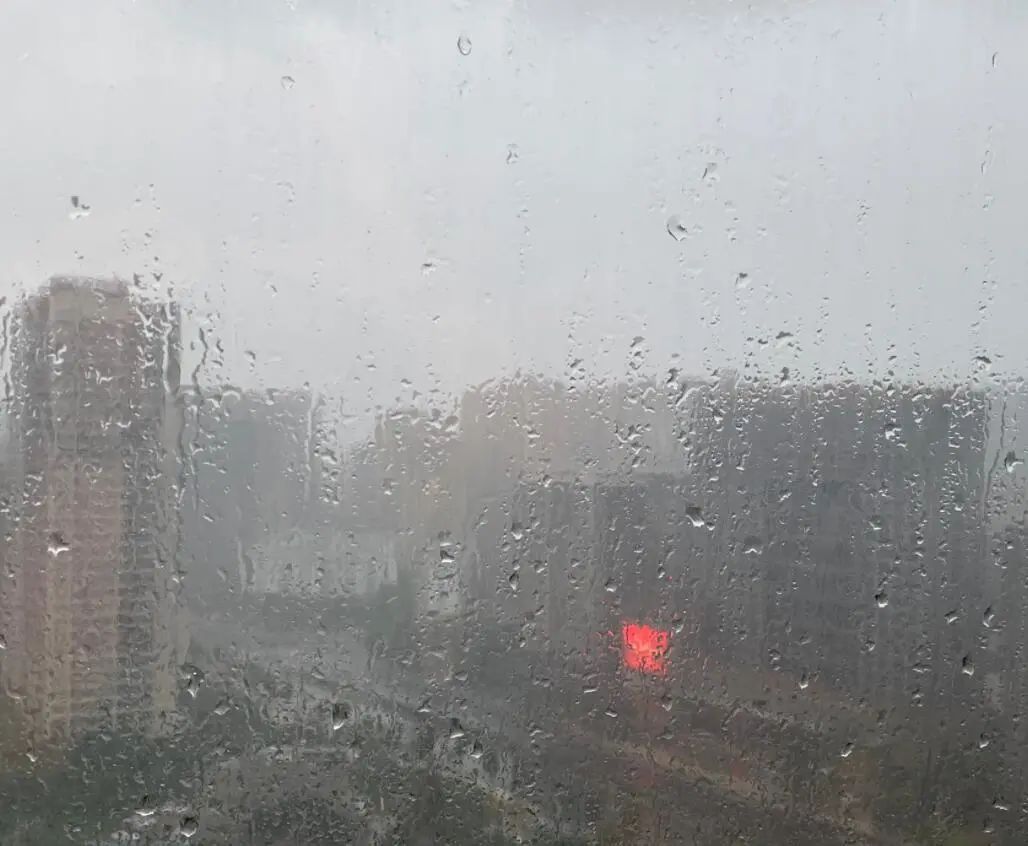 春城晚报(微信)