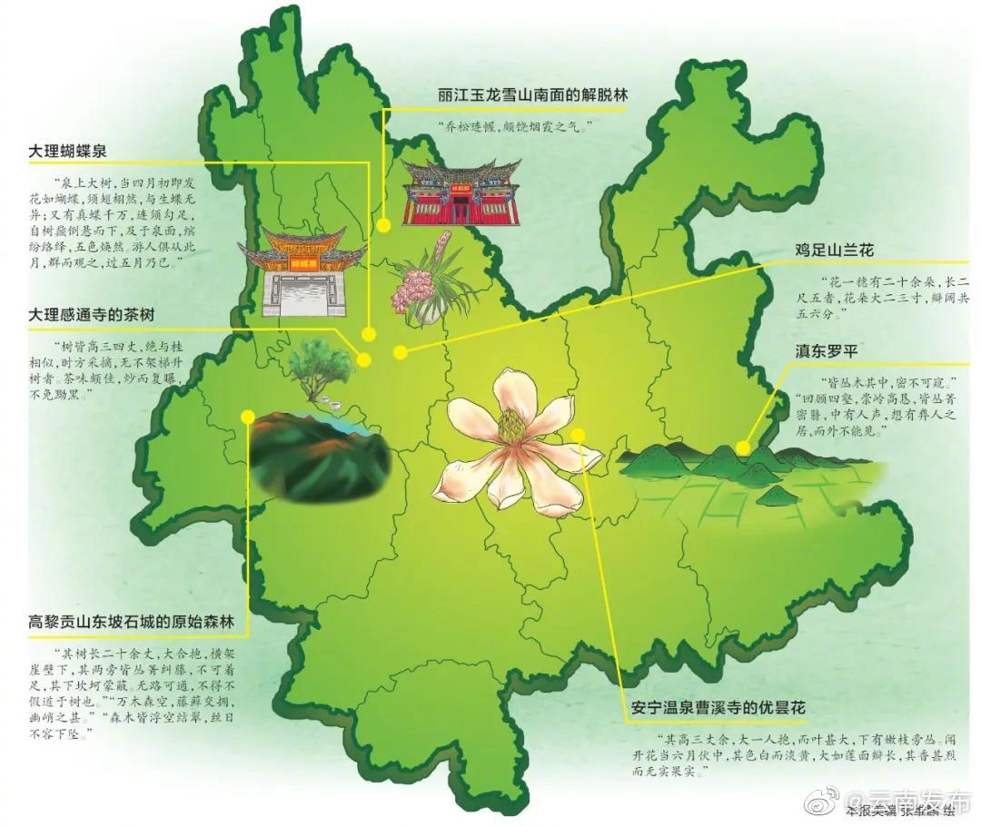 穿越300多年，跟着徐霞客去看云南的生物多样性