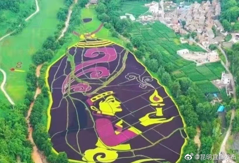 “昆明宜良发布”微博