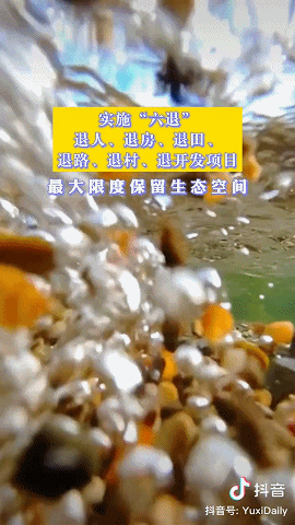 玉溪发布(微信)