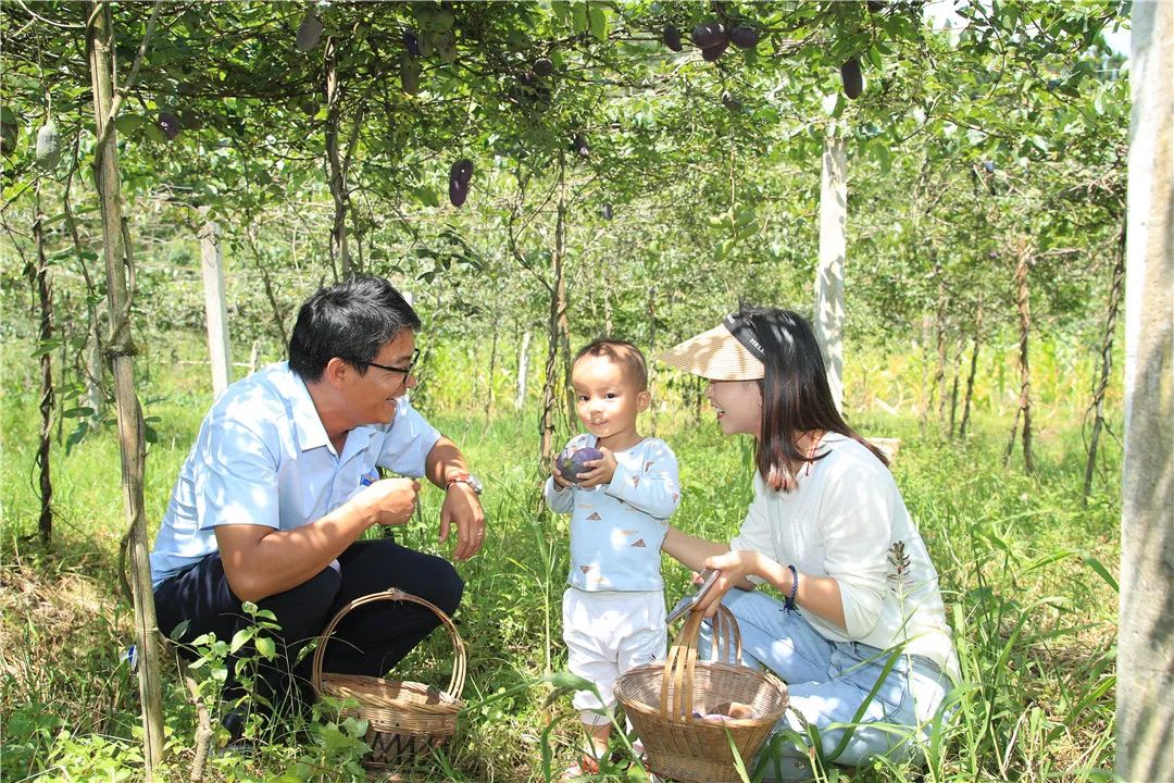 保山新闻网(微信)