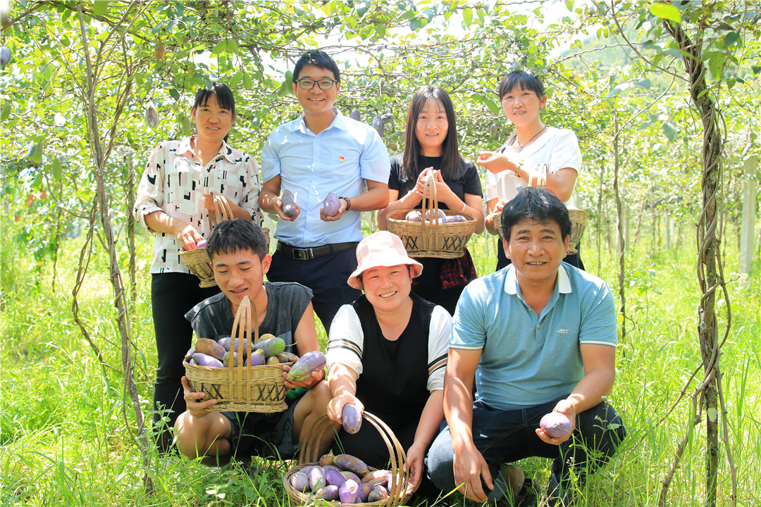 保山新闻网(微信)
