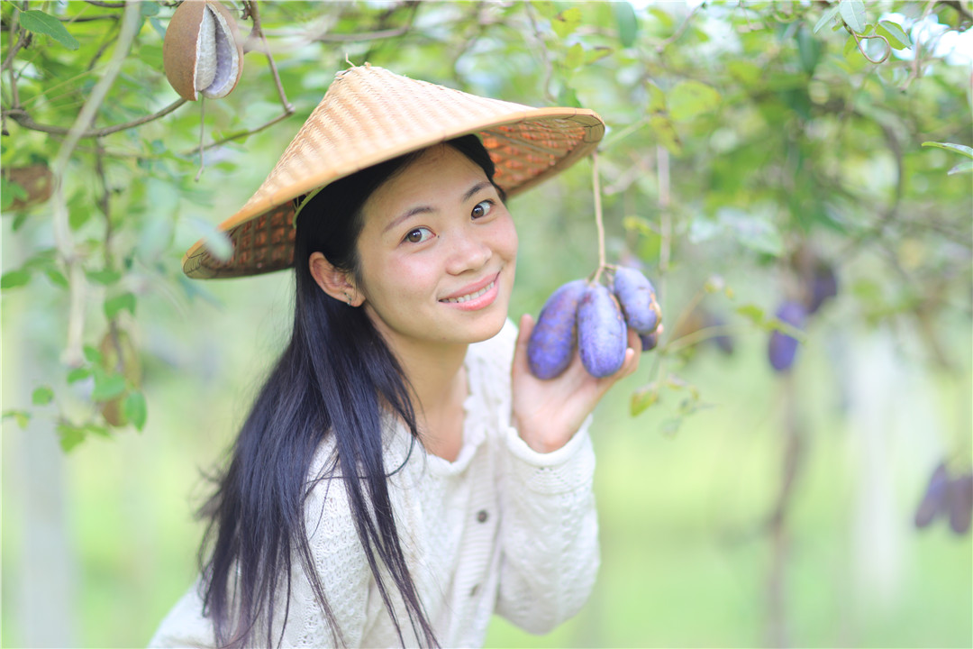 保山新闻网(微信)