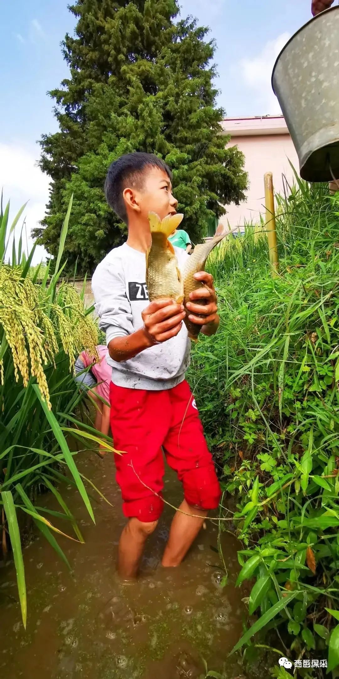 保山新闻网(微信)