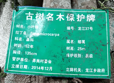 保山新闻网(微信)